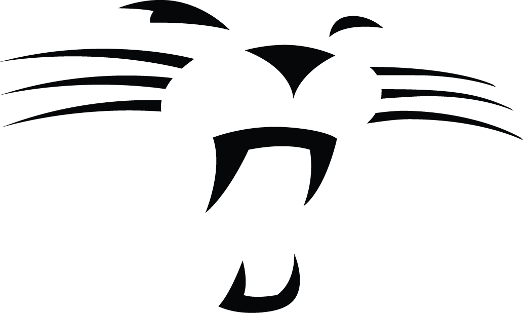 Carolina Panthers 2012-Pres Alternate Logo iron on transfers for clothing version 2